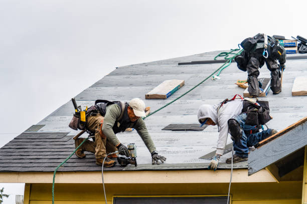 Professional Emergency Roof Repair technician working in La Harpe, IL
